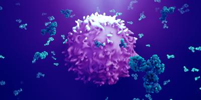Image of antibodies attacking a virus.