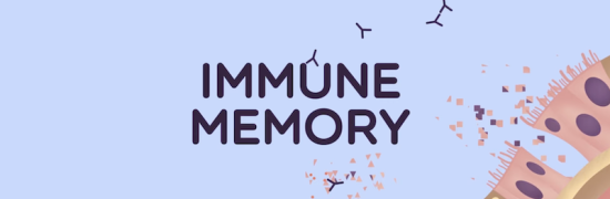 Immune Memory animated series from the British Society for Immunology